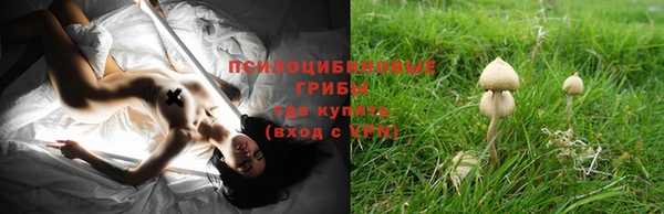 гашиш Бородино